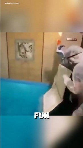 Dry Ice Pool Party Turns Deadly