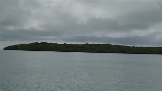Some days serve as a powerful reminder that meaningful change often begins with a single seed. In partnership with the Mauritian Wildlife Foundation, our team had the privilege of sowing 751 endemic seeds at Île aux Aigrettes; a symbolic gesture of our shared commitment to environmental preservation. #QuantumInsurance #mauritianwildlifefoundation #ileauxaigrettes | Quantum Insurance