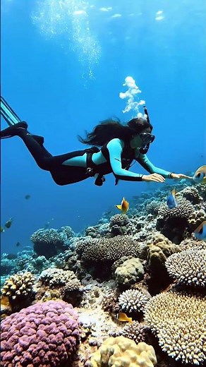 #澳洲 #大堡礁 #Australia #GreatBarrierReef