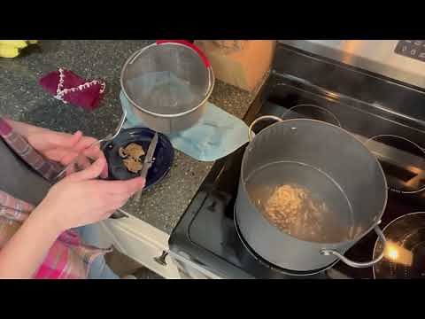 Rehydrating Freeze Dried Chicken