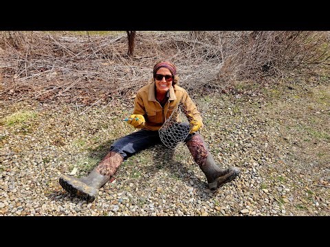 Making Tree Cages (YES, it's necessary!)