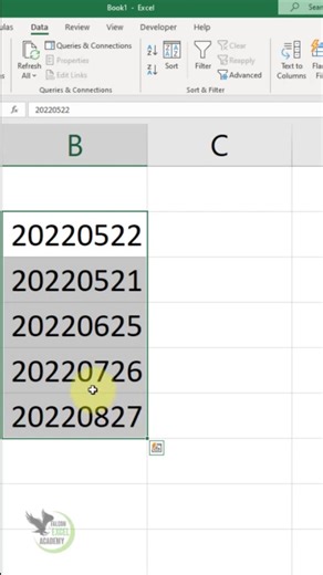 How To Convert Numbers To Dates in MS Excel