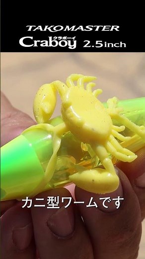 [Tako Master Crabboy] Essential worm for boat octopus fishing