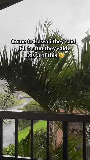 Escaping Winter: A Rainy Day in Hawaii
