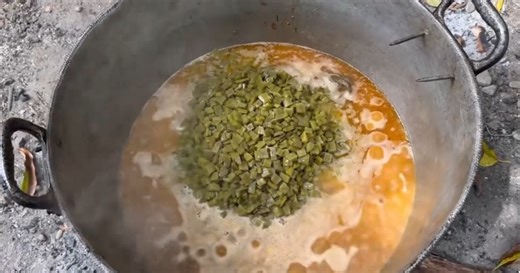 Cuban teaches how to cook nopal in Santiago de Cuba: "And it tastes glorious!"