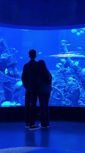 Aquarium Date: A Fun Underwater Experience!