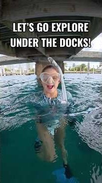 that was one feisty fish 😅 #ocean #underwater #diving #oceancreatures