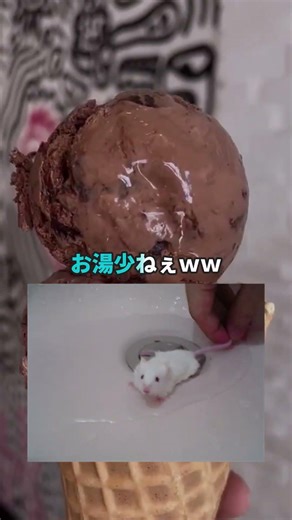 I got some mice for experiments #shorts #2chfunnythreads