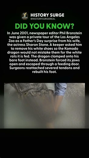 A KOMODO DRAGON CLAMPED HIS FOOT AND WOULDN'T LET GO