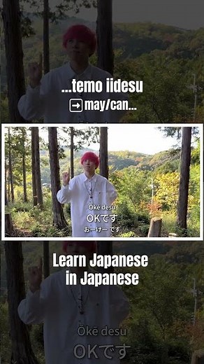 Learn Japanese in Japanese