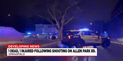 1 dead, 1 injured in Springfield shooting