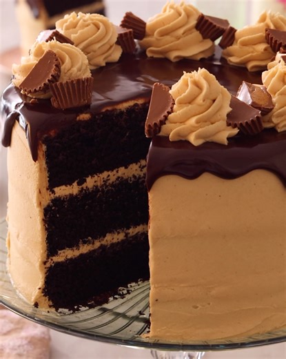 This decadent Chocolate Peanut Butter Cake is a must-try for chocolate and peanut butter lovers! Moist chocolate cake is smothered with a creamy peanut butter frosting and finished with a rich ganache drip. | Preppy Kitchen