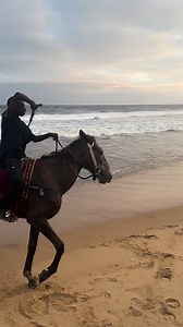 Balade à cheval sur la plage de Jacqueville 🇨🇮 Profitez autrement de vos sorties avec ces randonnées équestres 🐴🐎🐎 en bordure de mer. Une connexion avec l’air marin et l’Océan Atlantique 🐳🪼🐙🦑🦐🦀🐋🐟🐡. • • • #randonnéeéquestre #plage #Jacqueville #CI #baladeàcheval #centreéquestre #ocean | Bons Plans Côte d'Ivoire