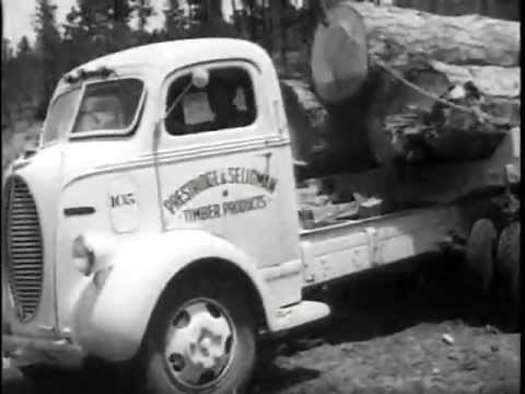 Old Ford Logging Trucks 1940s