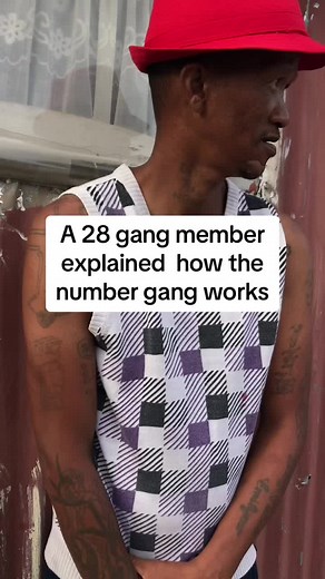 Understanding the 28 Gang Member's Insight on Number Gangs
