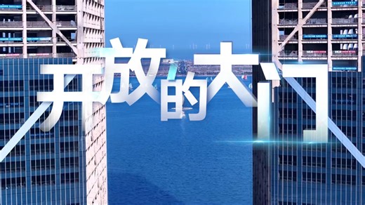 【 #开放的大门 】上海：我是“开放事务官”｜临港“走出去”综合服务平台首席事务官用vlog形式带大家沉浸式感受临港新片区的实践创新和制度创新。#首批沿海城市开