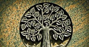Arbre de vie : quelle est sa signification ?
