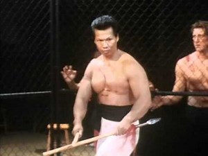 Shootfighter Fight to the Death