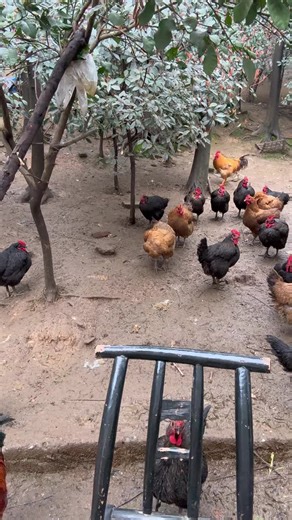 #spicy #food #funy #challenge #tik_tok