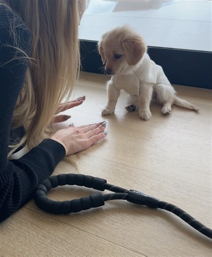 Steven Slate on Reels