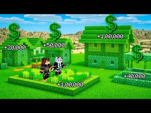 Poor To Millionaire in a Millionaire villager City