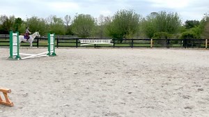 1.8K views · 151 reactions | Three more days until Addy’s first horse show! | Tic Tac Toy | Facebook