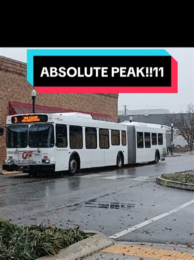 catbusproductions on TikTok