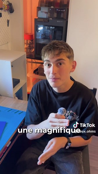 Le 17 octobre c’est la RÉVOLUTION !!! on se donne rdv dans les rues 🫣 ? #blocus #17octobre #pourtoi #3D #tech