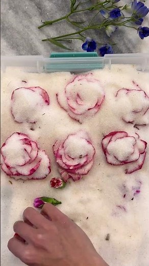 Drying Flowers in Silica Gel for Resin Preservation (Beginner Tutorial Step: 1)