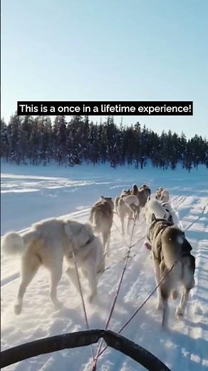 Husky sled ride in Lapland, Finland!