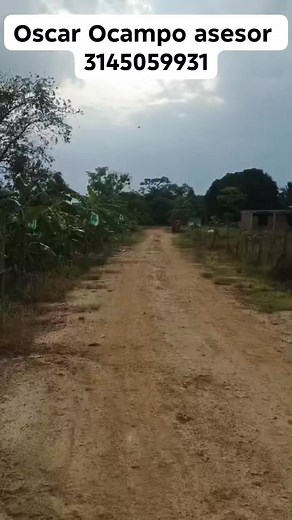 67 shares | proyecto Brisas del eden ,currulao. *¡Descubre Brisas del Eden Currulao! * Vive en un paraíso natural en Currulao, Antioquia. Terrenos amplios y planos, entorno tranquilo y acceso a servicios básicos. *¡Tenemos plan de financiamiento! * - No se hace estudio de crédito - No requiere codeudor - No importa si está reportado ¡Reserva tu lote ahora!  314 505 99 31 | URABA Dreams LOTES | Facebook