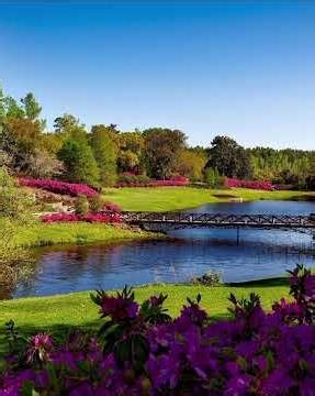 Êxodo capítulo 16 #biblia #versiculo #fé