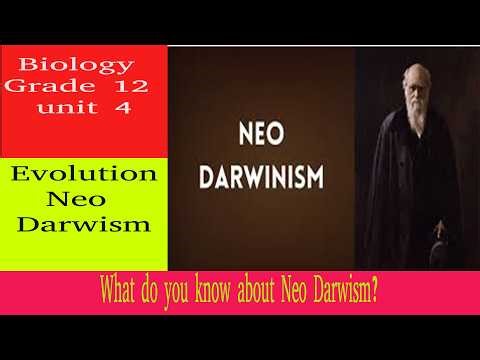 Neo Darwism | evolution | grade 12 | biology | unit 4| Teacher Melaku