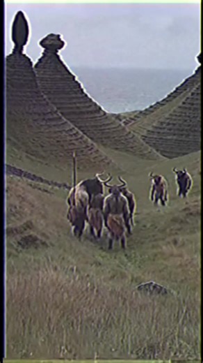 The Minotaur is a legendary Greek mythological creature with the head of a bull and the body of a man. Known as the