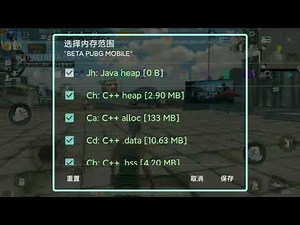 ［GG］How to make PUBG wallhack？