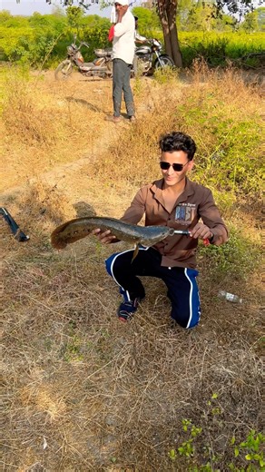 Snakehead fishing 🎣 Nanded Fishing #snakehead #carpfishing #fishing #nature