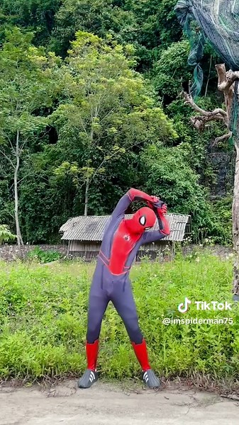 Spiderman and Hulk Action Figures Unleashed