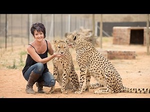 Petite Woman Is Best Friends With Big Cats | BEAST BUDDIES