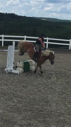 Jumping lesson on a pony🤠