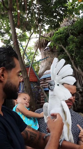 1.3K views · 255 reactions | 헗헜헦헖헢헩험헥 헬헢헨헥 헜헡헡험헥 헖헛헜헟헗 헔헧 헔헠헔헭헢헡헜헔...