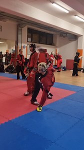 Continuous contact training...technique and tactics 😁👊 Allenamento per il contatto continuo...tecnica e tattica 😁👊 @topten_martial_arts @kickflixworldwide @topten_sports_italia #hmditalia #wakokickboxing #wako #kickboxing #fighter #combattimento #fighting #pointfighting #martialarts #training #competition #competizione #combination #combinazioni #lightcontact #kicklight #valeriogalli | Piergiorgio Galli