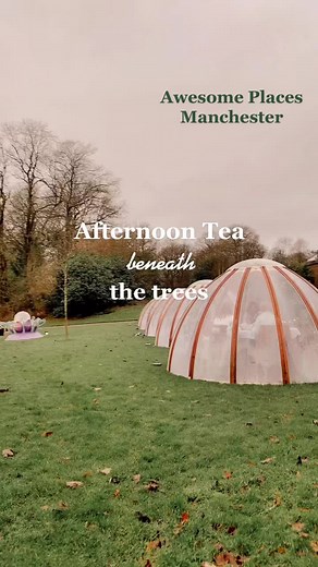 a series on things to do in manchester #fyp #foryou #awesomeplacesmanchester #afternoontea #heatonpark #thingstodomanchester #manchesterthingstodo #manchesterrestaurants #manchesterbars #placestovisitinmanchester #afternoonteabeneaththetrees #uom #mmu #manchesteruniversity #manchestergirl #christmasexperience #christmasgiftideas