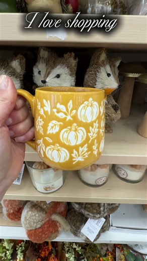 Jesienny Klimat w PEPCO 🍁 🛍️Zobacz Najnowsze Dekoracje i Hity Cenowe!🍄‍🟫🍂