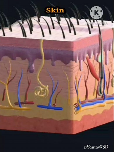 skin 3d animation #animation #3d #skin #shorts