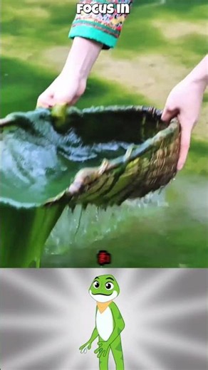 How This Slimy Green River Algae Is Transformed Into A Crispy Spiced Snack! 🛠️⚡