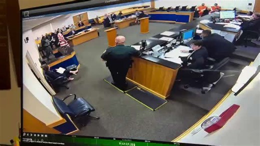 'Chaos in the courtroom': Video shows man ﻿lunge toward judge in Florida courtroom