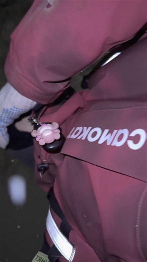 Когда устроился на работу и пожалел #доставка #самокат #video#real