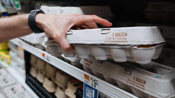 Egg prices: Why have they risen so sharply in 2024? A CEO explains.
