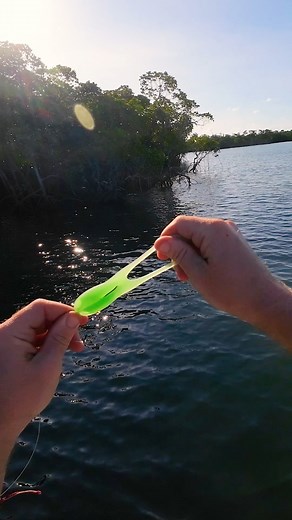Skip Frog Lure Fishing Techniques