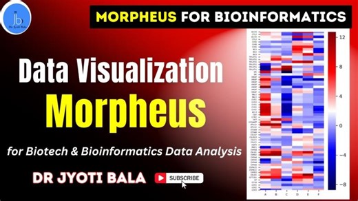 Morpheus: Essential Tool for Bioinformatics Data Visualization| Visualize Big Data Like a Pro | Molelixir Informatics